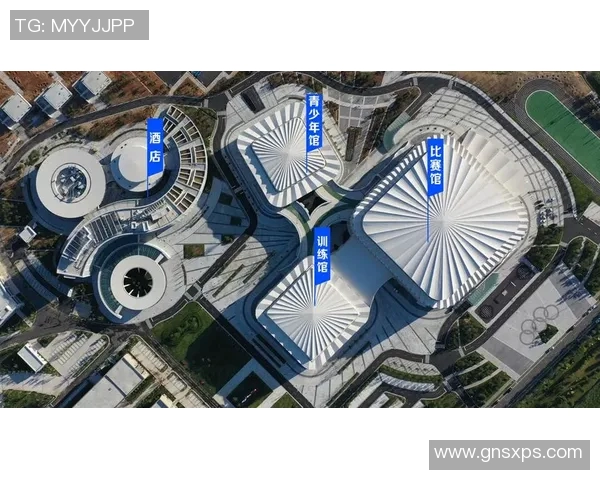 深圳乒乓球队的实力分析与发展潜力探讨助力中国乒乓球未来