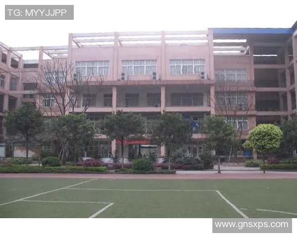 重庆篮球队进攻战术解析与球队发展动态深度剖析