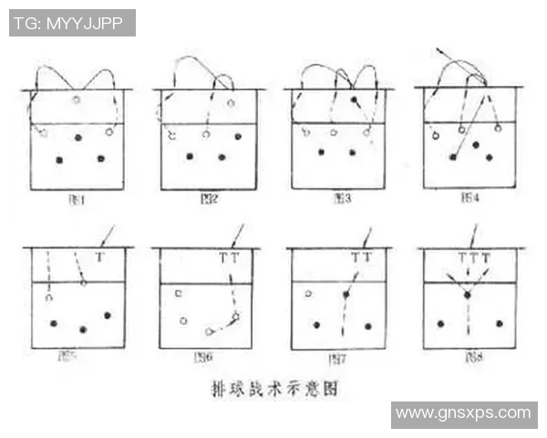 深圳排球队中路突破分析与战术反思探讨 深圳排球队中路突破分析与战术反思探讨