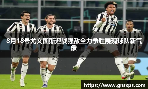 im电竞
