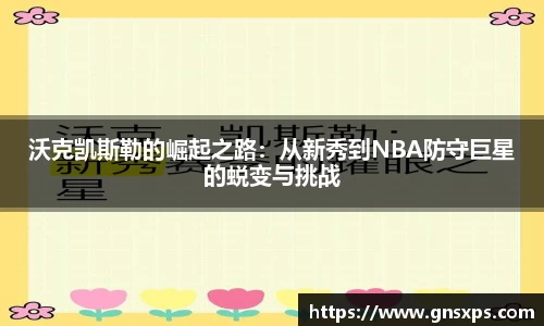 im电竞官网