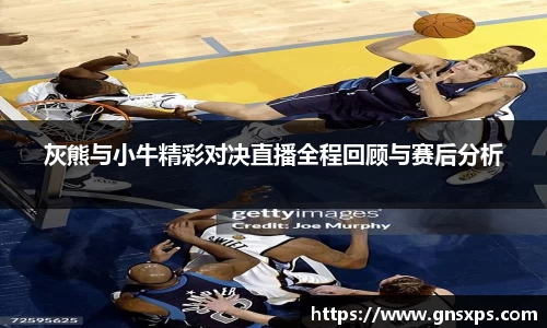 灰熊与小牛精彩对决直播全程回顾与赛后分析