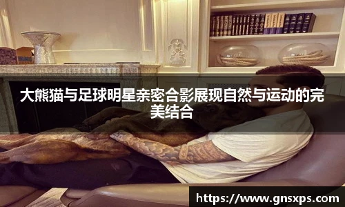 大熊猫与足球明星亲密合影展现自然与运动的完美结合
